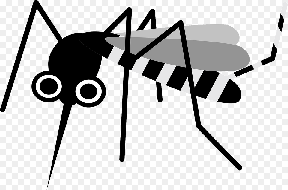 Mosquito Insect Clipart, Animal, Invertebrate Png