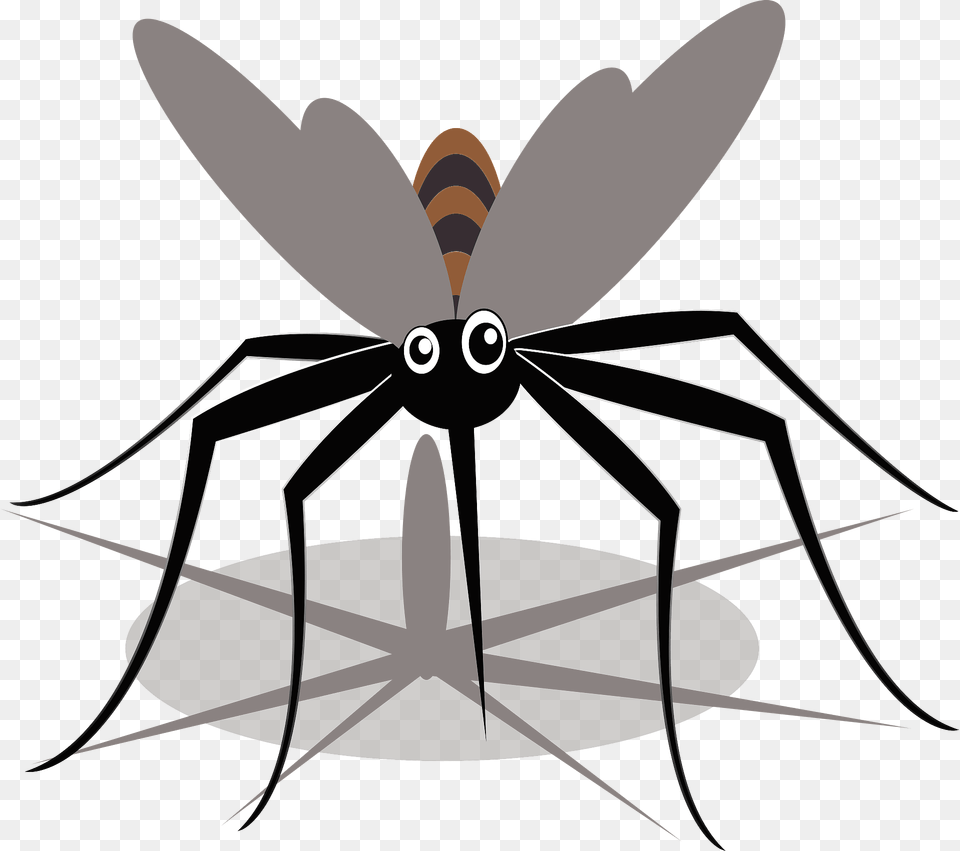 Mosquito Insect Clipart, Animal, Invertebrate, Spider, Fish Free Png Download