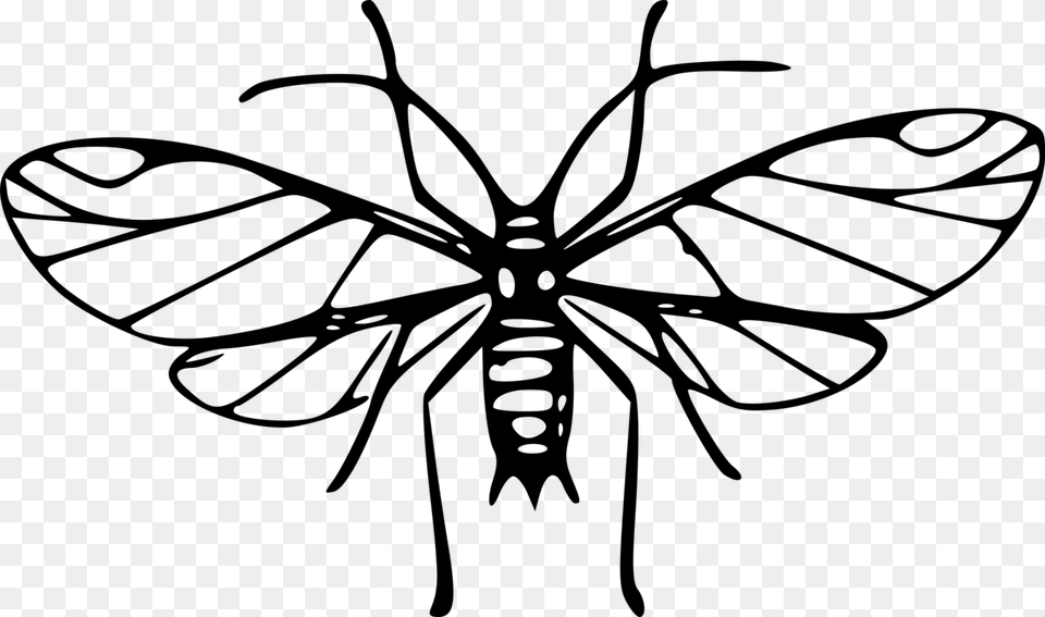 Mosquito Insect Download Computer Line Art, Gray Png