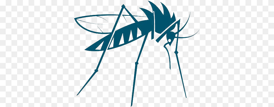 Mosquito Insect Vector Bed Bug Mosquito Vector, Animal, Invertebrate Png