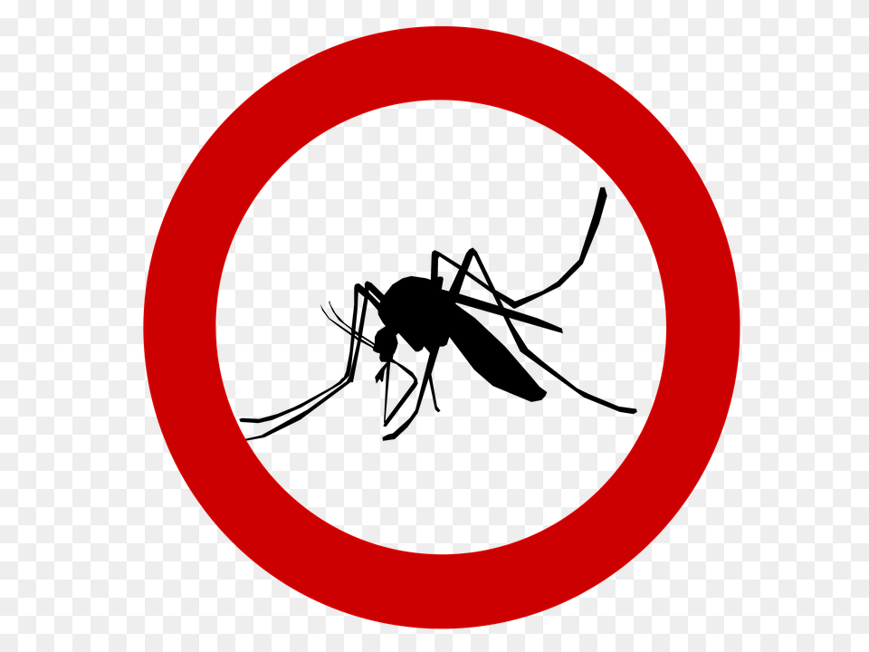 Mosquito Pest Control, Sign, Symbol, Disk, Road Sign Free Png