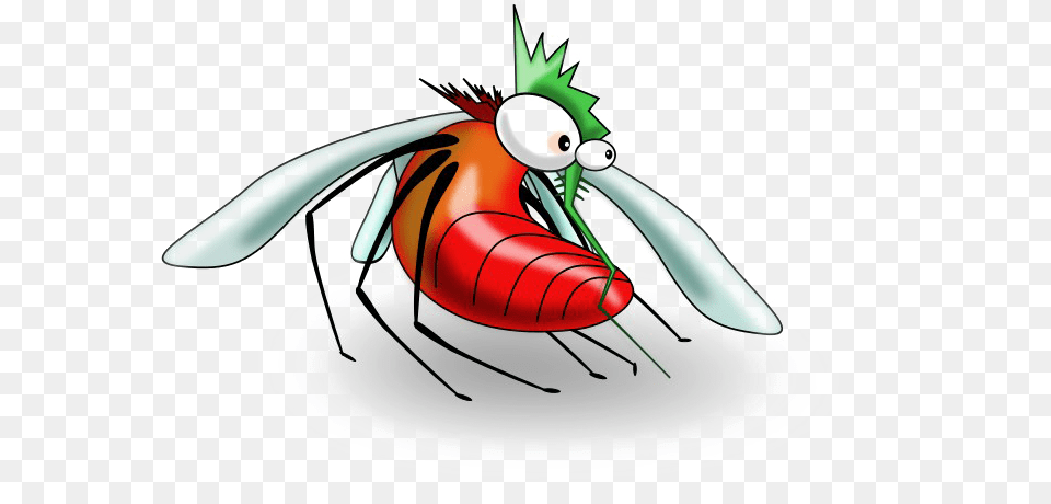 Mosquito Pic, Animal, Insect, Invertebrate Free Transparent Png