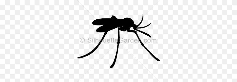 Mosquito Silhouette Clip Art Download Versions Of The Image, Animal, Insect, Invertebrate, Bow Png