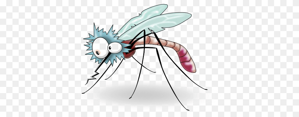 Mosquito Transparent Background Mosquito Gif Transparent Background, Animal, Insect, Invertebrate Png Image