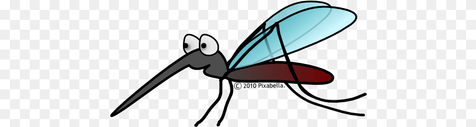 Mosquito Files Mosquito Clipart, Animal, Bee, Insect, Invertebrate Free Transparent Png