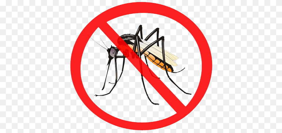 Mosquito Transparent Images, Animal, Insect, Invertebrate Png