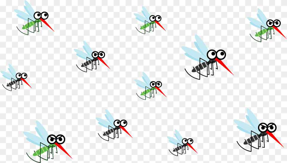 Mosquitos Clipart, Animal, Bee, Insect, Invertebrate Free Png