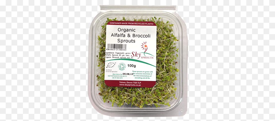Moss, Plant, Sprout, Bean Sprout, Food Png
