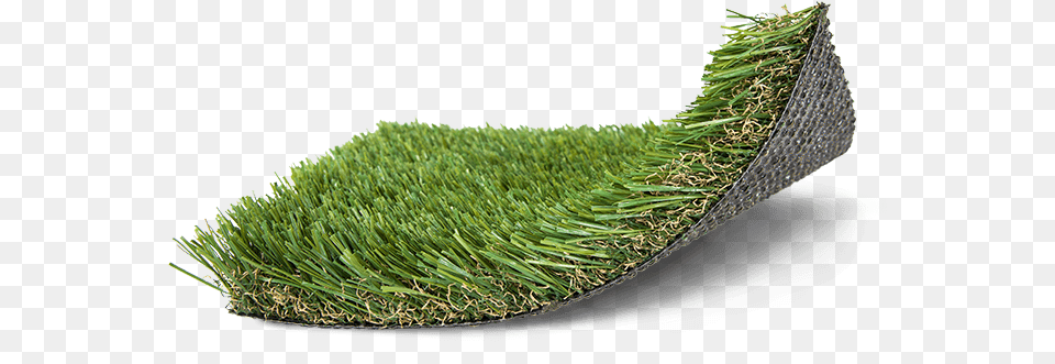 Moss, Grass, Jar, Plant, Planter Png Image