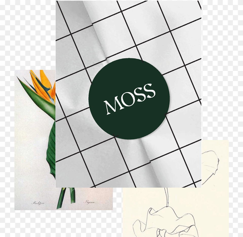 Moss, Art, Graphics, Logo Free Transparent Png