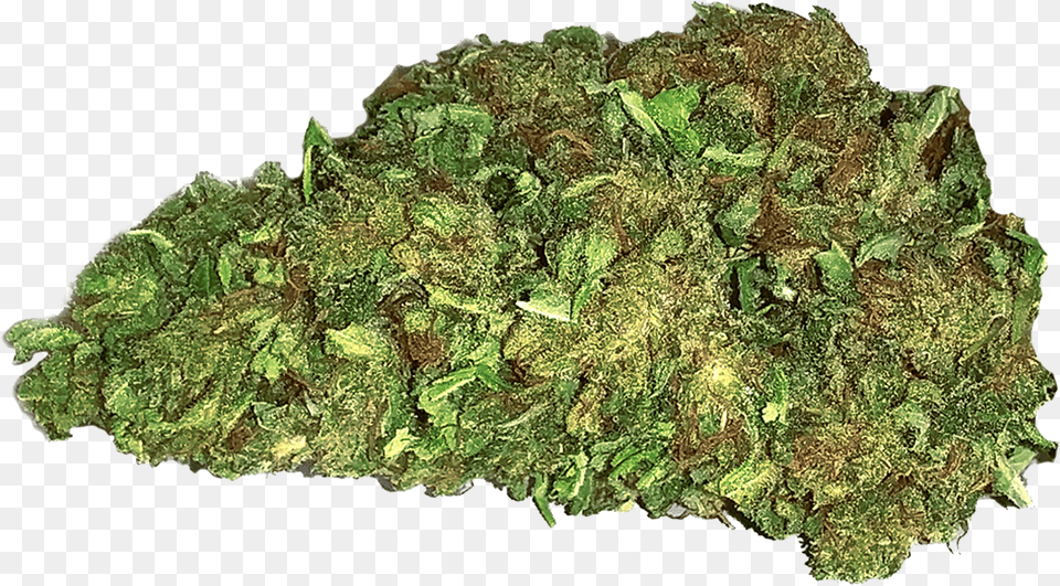 Moss, Mineral, Plant, Weed Free Png Download