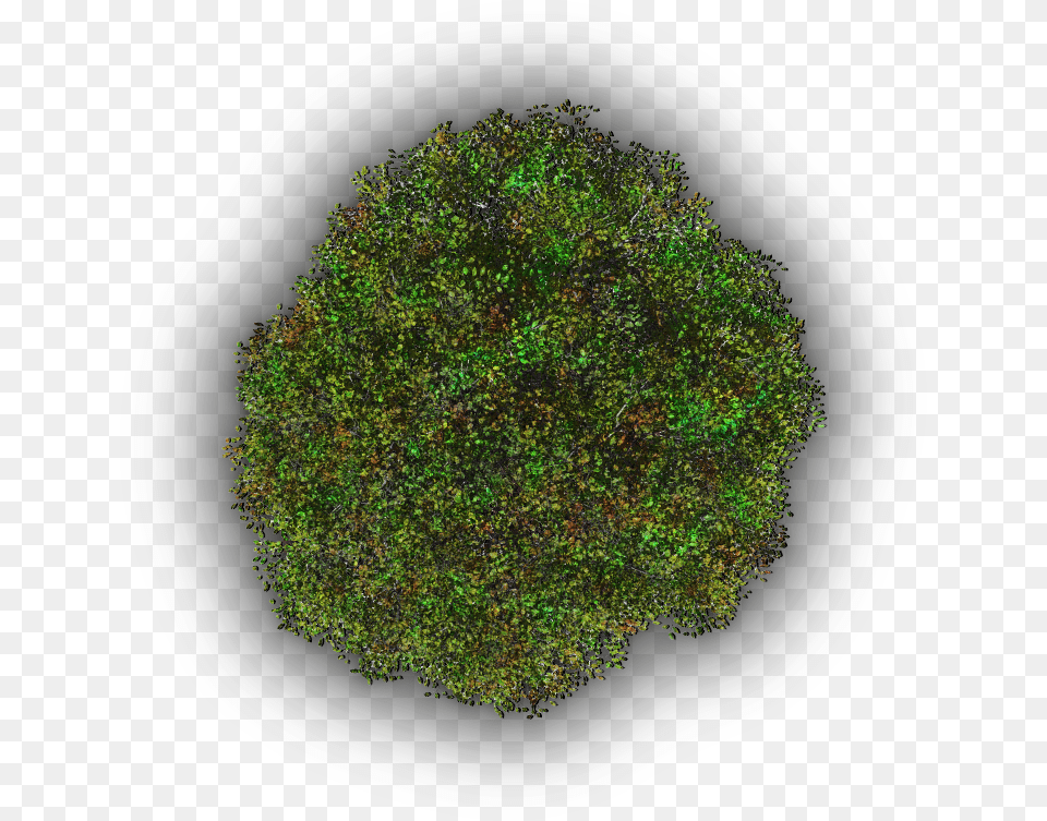 Moss, Accessories, Plant, Vegetation, Sphere Free Png