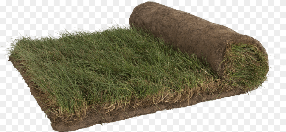 Moss, Countryside, Grass, Nature, Outdoors Free Transparent Png