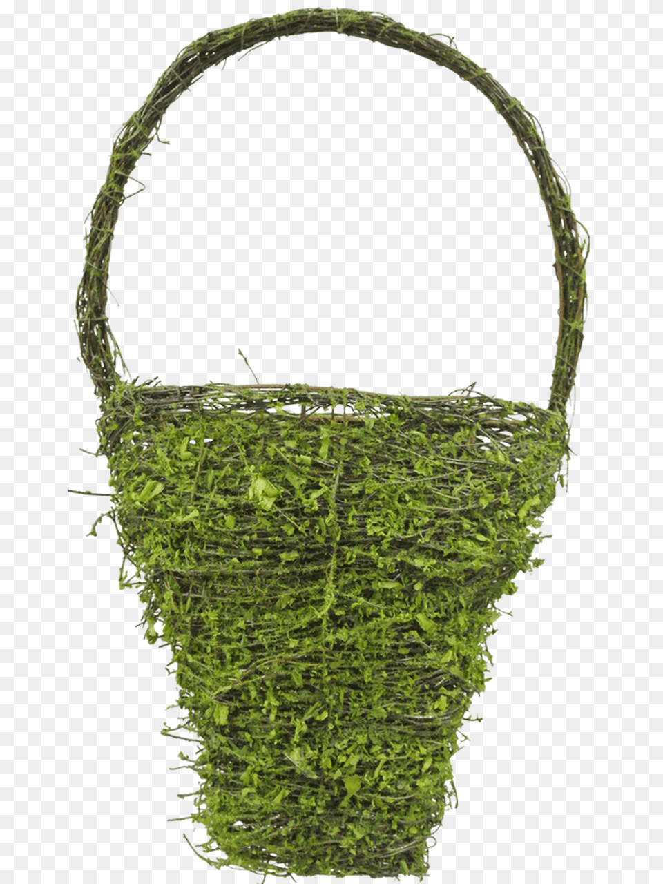 Moss, Accessories, Bag, Handbag, Plant Png