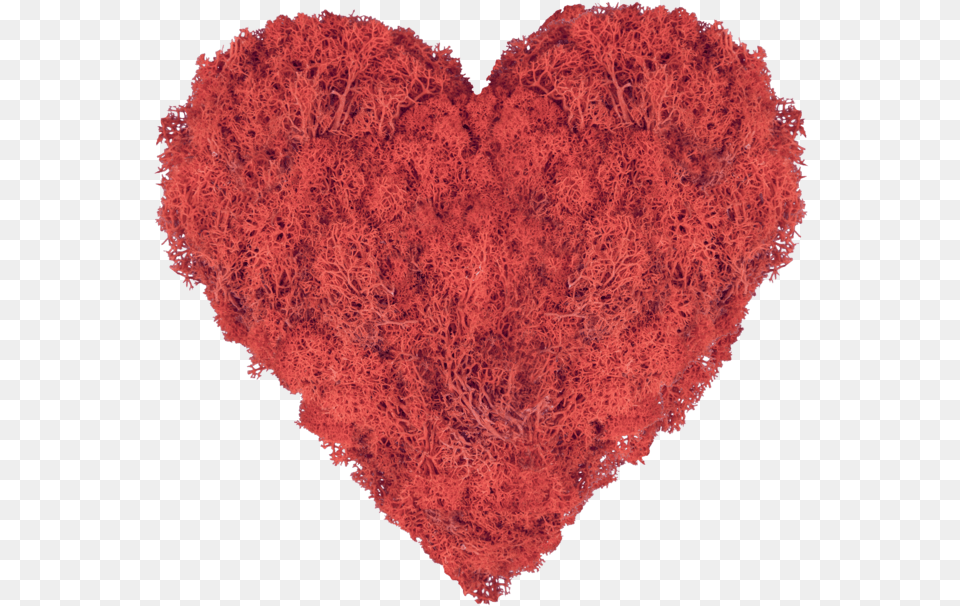 Moss Art Heart Red Png Image