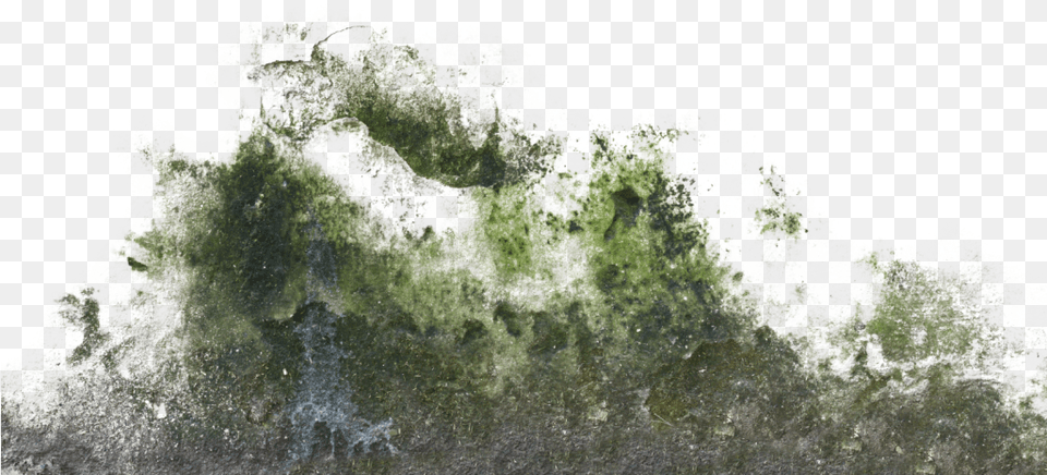 Moss Texture Wall Moss Texture, Land, Nature, Outdoors, Sea Free Png Download