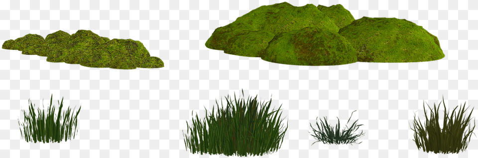 Moss Transparent, Grass, Plant, Vegetation, Land Free Png