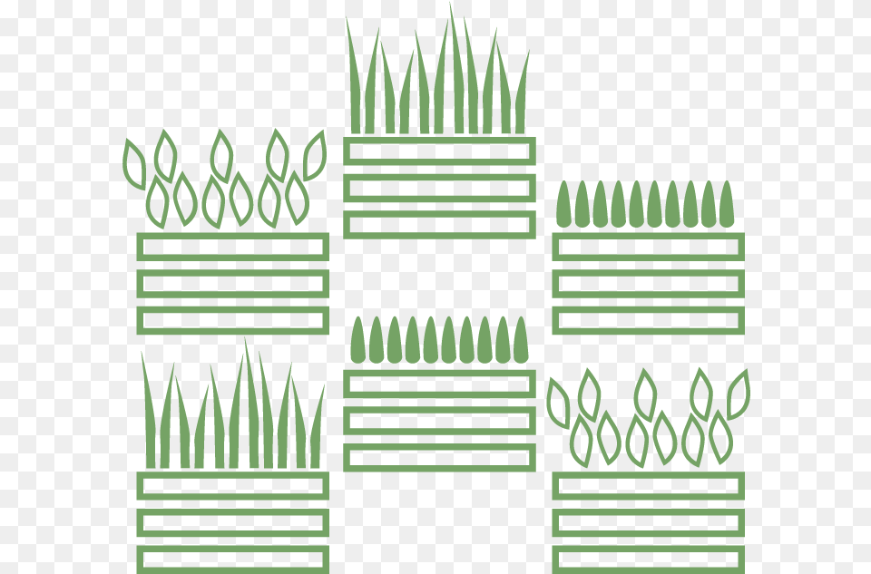 Moss Wall Living Wall Live Wall Green Wall Plant Picket Fence Free Transparent Png