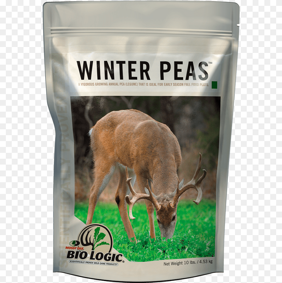 Mossy Oak, Animal, Antelope, Deer, Mammal Free Png