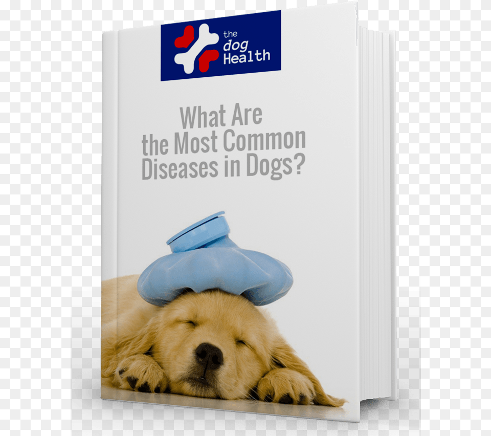 Most Common Diseases In Dogs Tom And Jerry Sick, Animal, Canine, Dog, Mammal Png Image