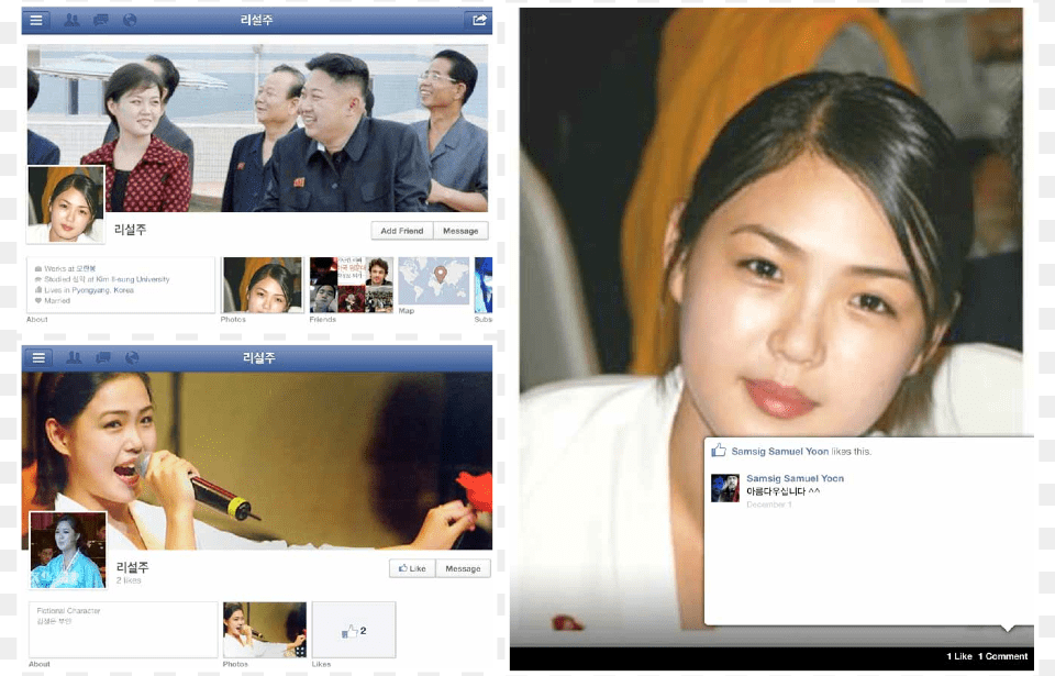Most Of The Fake Facebook Profiles For Ri Sol Ju Include Ri Sol Ju 2005, Adult, Person, Head, Female Free Transparent Png