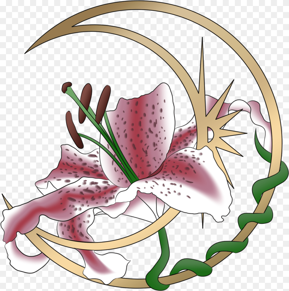 Most Of You Know Me As Lily Lily Stargazer, Anther, Flower, Plant Free Transparent Png