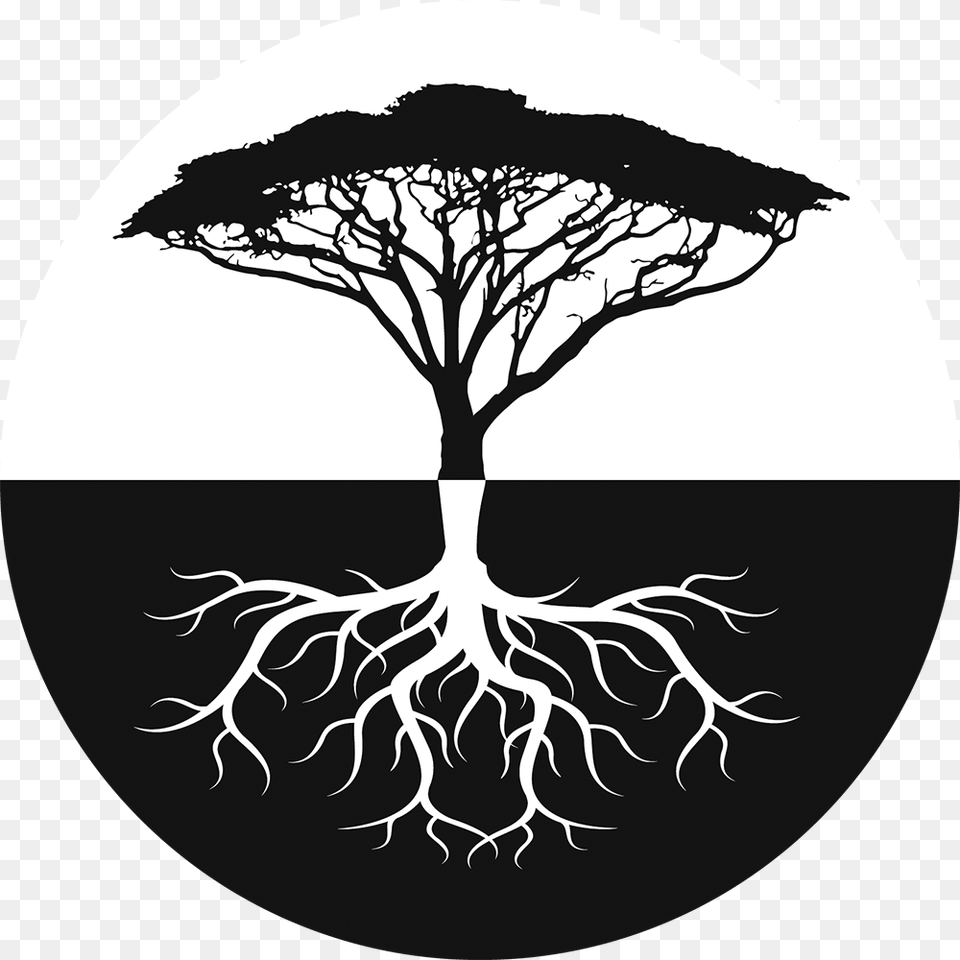 Most Popular Tree In Africa, Stencil, Plant, Root, Animal Png