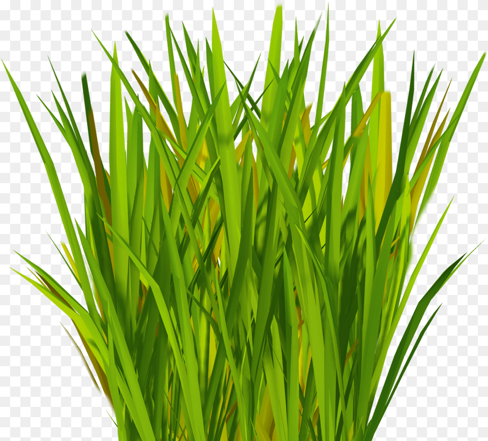 Most Realistic Artificial Grass V Grass Blade Texture, Green, Plant, Vegetation, Lawn Free Transparent Png