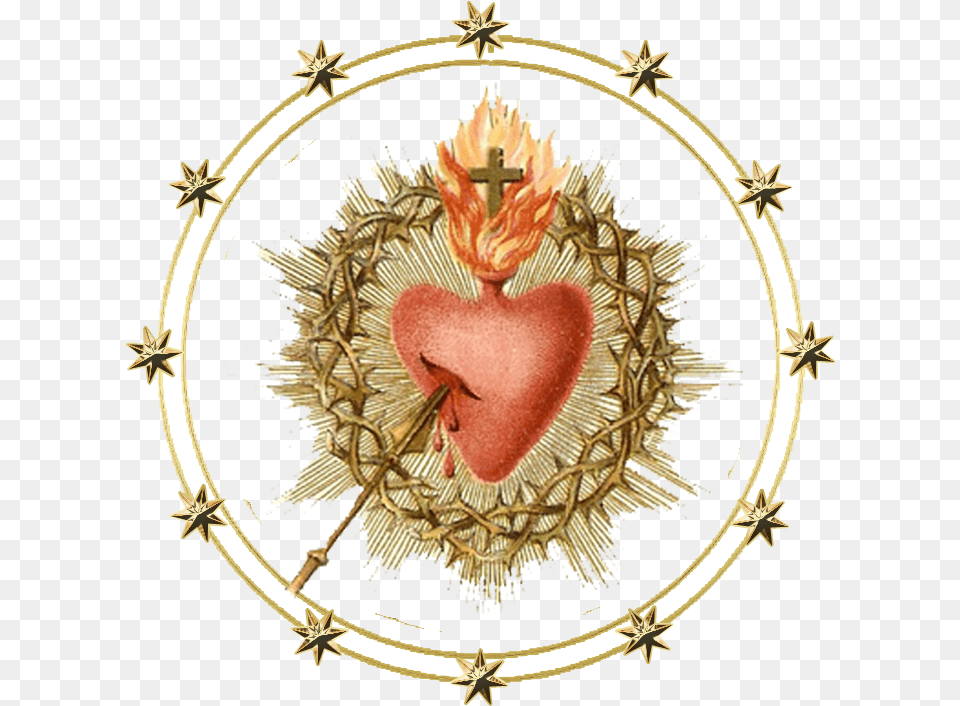 Most Sacred Heart Of Jesus Have Mercy, Symbol, Person Free Png Download