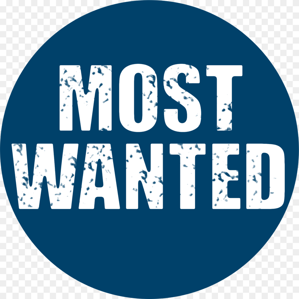 Most Wanted Trust Thoughts In English, Sticker, Logo, Disk, Text Png Image