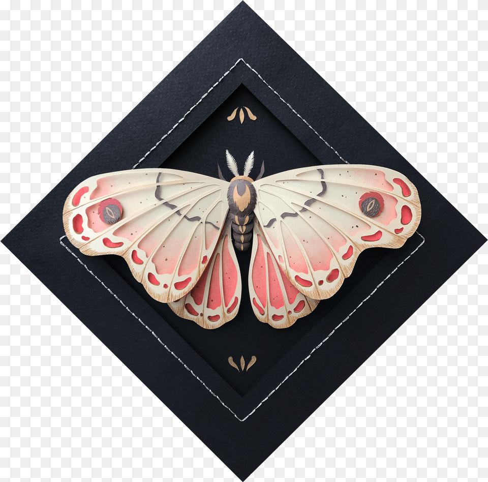 Moth Free Png Download