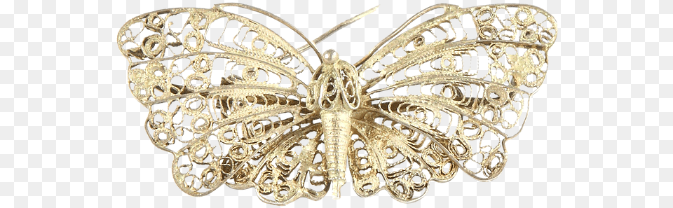 Moth, Accessories, Jewelry, Brooch, Necklace Free Transparent Png