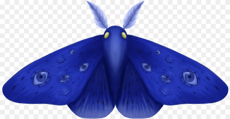 Moth, Animal, Butterfly, Insect, Invertebrate Free Png