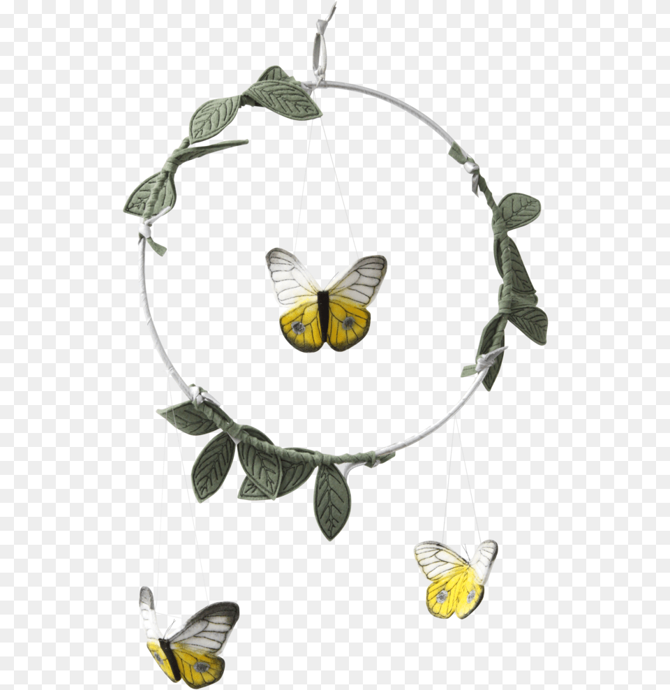 Moth, Accessories, Jewelry, Necklace, Art Free Transparent Png