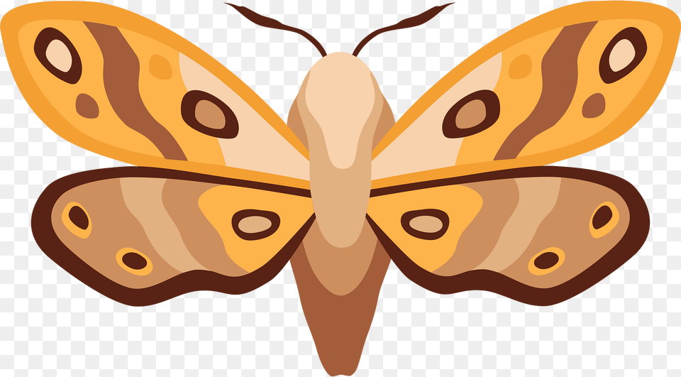 Moth Clipart, Animal, Butterfly, Insect, Invertebrate Free Transparent Png