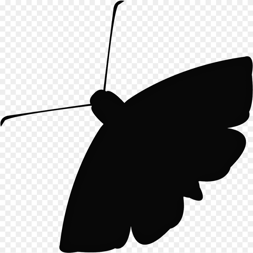 Moth Image Moth Silhouette, Leaf, Plant, Cupid Free Png Download