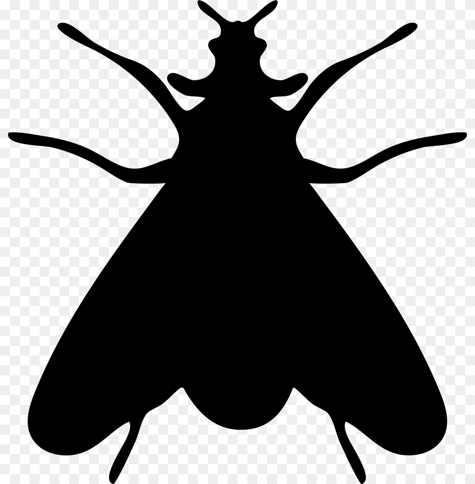 Moth Insect Shape Icon Download, Silhouette, Stencil, Animal, Kangaroo Free Transparent Png
