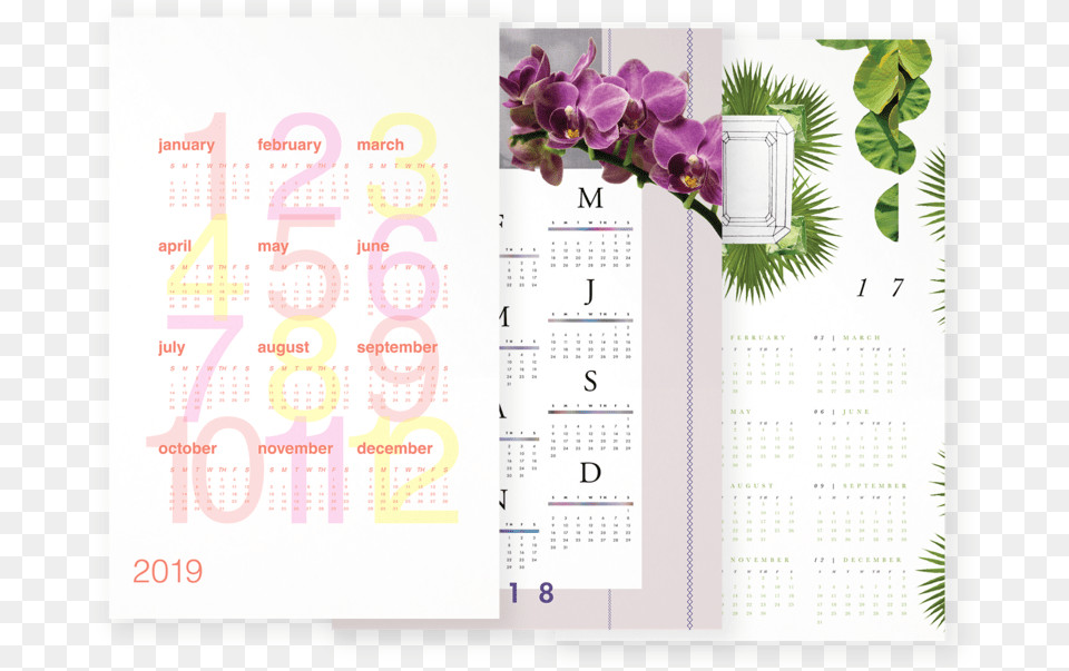 Moth Orchid, Text, Page, Calendar, Plant Free Png