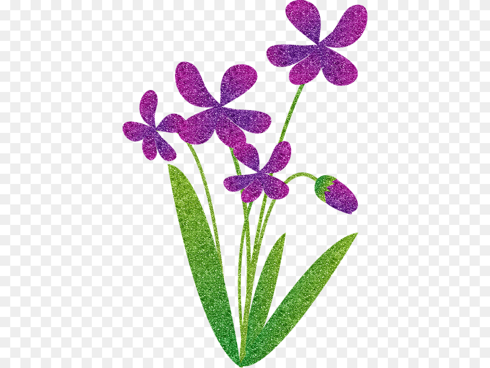 Moth Orchid, Flower, Plant, Purple, Pattern Free Transparent Png