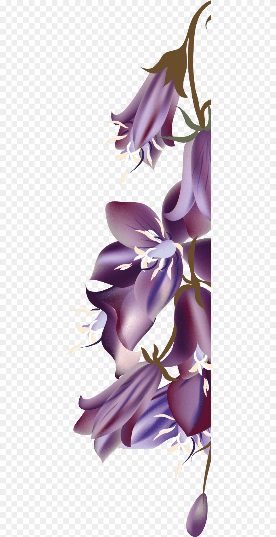 Moth Orchid, Purple, Flower, Plant, Art Png