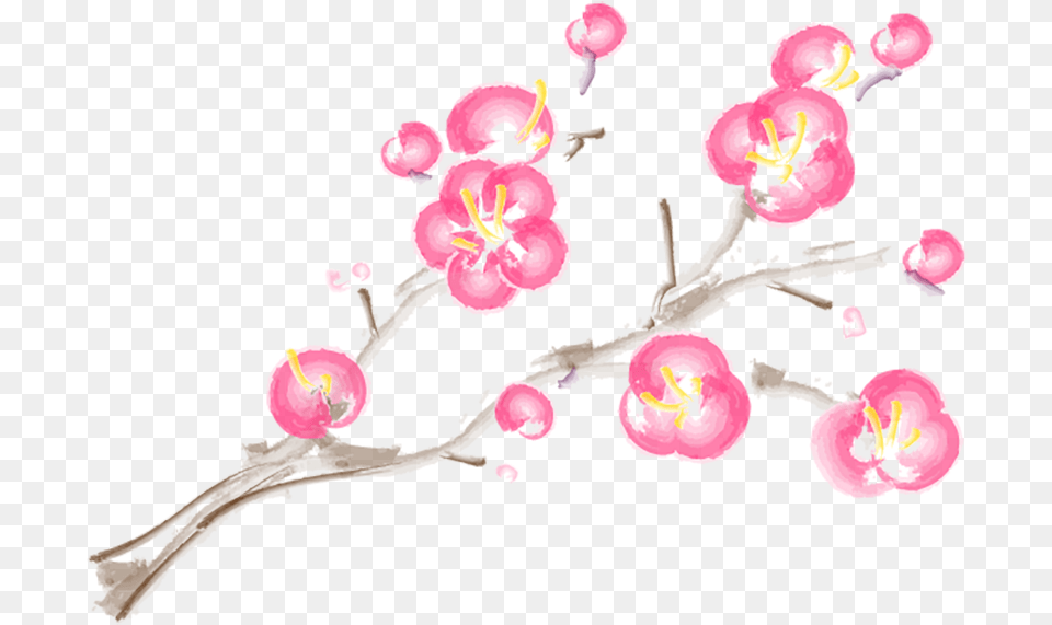 Moth Orchid, Flower, Plant, Cherry Blossom, Petal Png