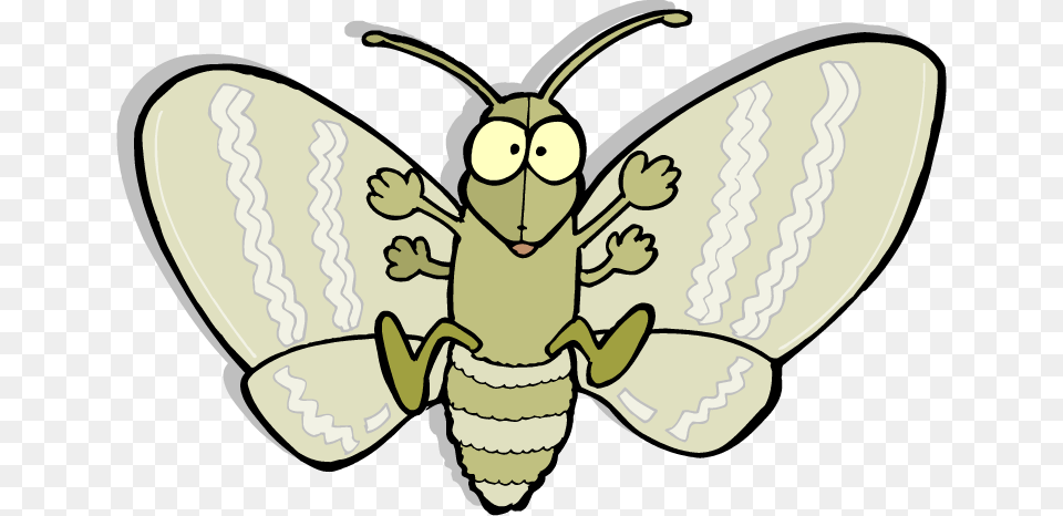 Moth Picture Cartoon Moth, Animal, Bee, Insect, Invertebrate Free Transparent Png
