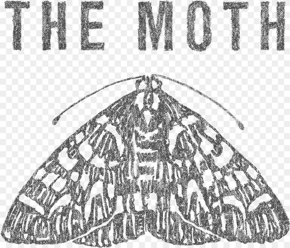 Moth Podcast, Animal, Butterfly, Insect, Invertebrate Free Png