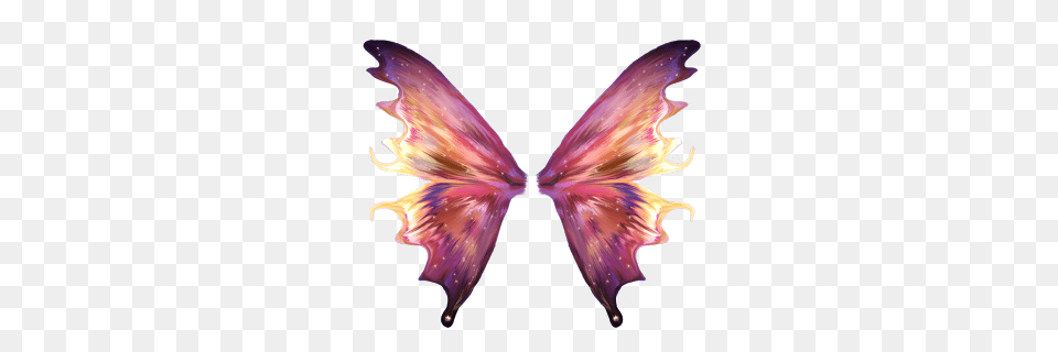 Moth Wings Image, Accessories, Purple, Jewelry, Ornament Free Png Download
