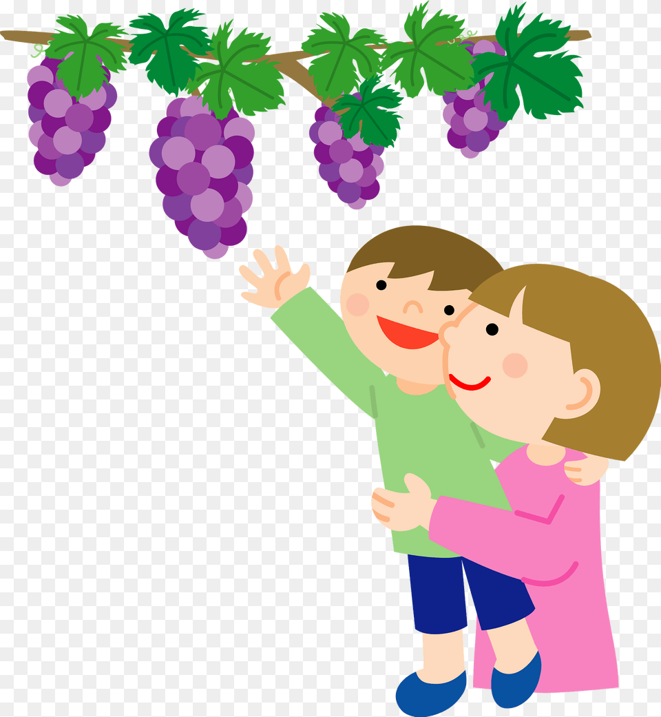 Mother And Son Are Picking Grapes Clipart, Purple, Produce, Plant, Fruit Free Png