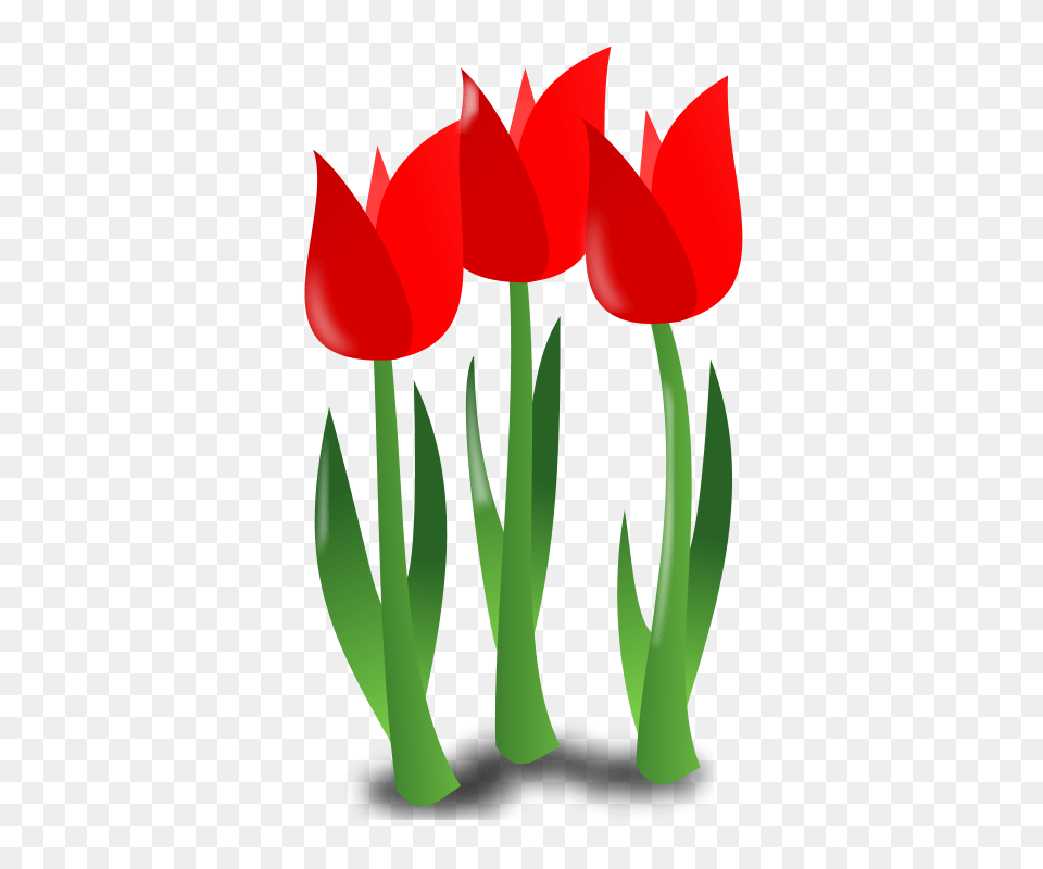 Mother Clip Art, Flower, Plant, Tulip, Petal Png Image