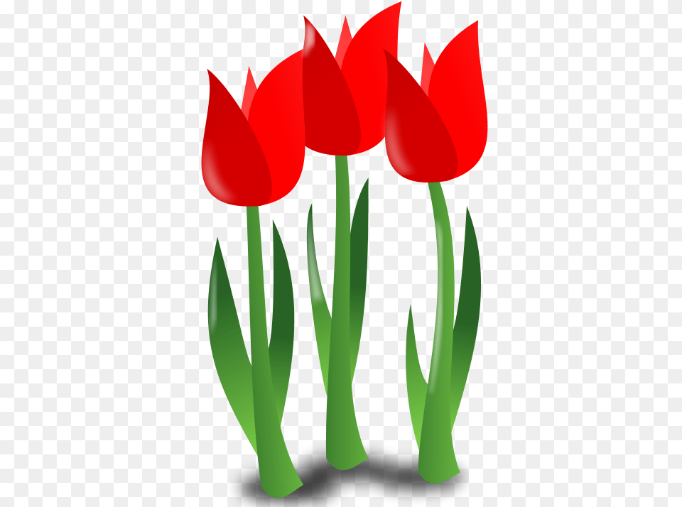 Mother Day Icon Svg 4 Vector Clip Art April Flower, Plant, Tulip Png
