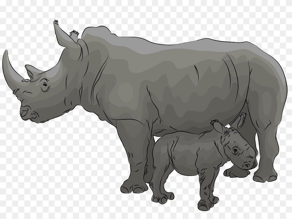 Mother With Baby Rhino Clipart, Animal, Mammal, Wildlife, Cattle Free Transparent Png
