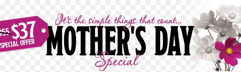 Mothers Day 2018 Special Header Tag Calligraphy, Purple, Plant, Petal, Flower Free Png