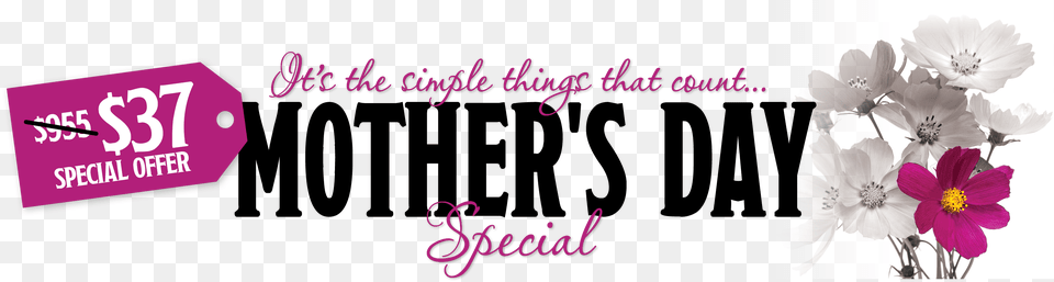Mothers Day 2018 Special Price Tag Purple, Flower, Petal, Plant Free Png Download